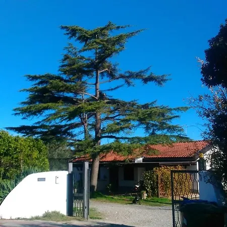 Bivano Biomele Feriehus